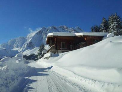 Les Fenetres Du Mont Blanc Lejlighed La Giettaz Eksteriør billede